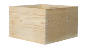 Tijelo - plodište DB